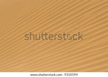 Wave pattern in the sand - Thar desert, Rajasthan, India