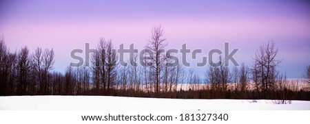 Alberta winter plains with colorful skies