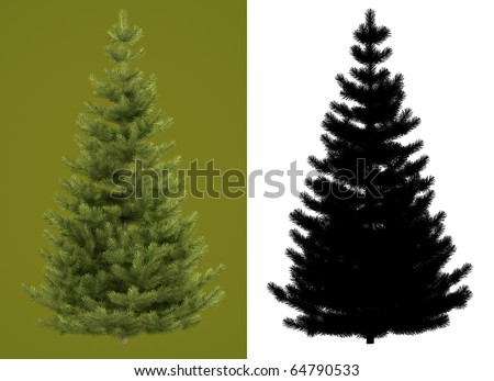 stock photo : Christmas tree isolated on green background for perfect isolation. Black and white
