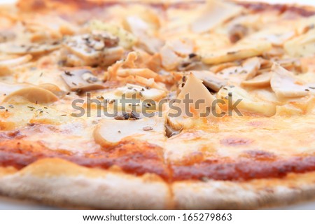 Pizza funghi with extra cheese and mushrooms