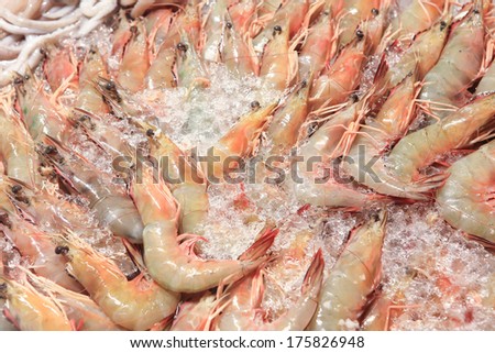 fresh river prawn from the market