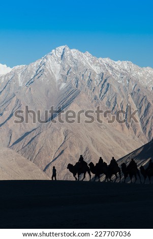 Caravan of travellers riding camels in silhoulette