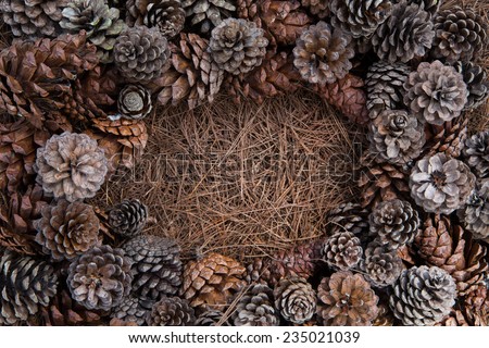 Frame of needles and pine-cones