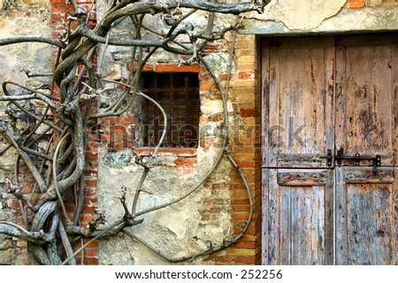 rustic old antique ancient wood door vine brick