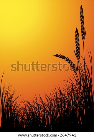 rye silhouette