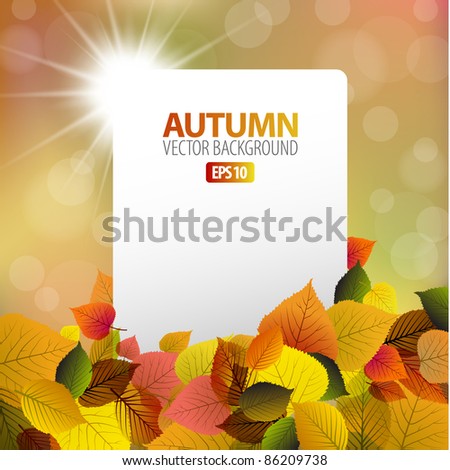Vector autumn background with white card and sun in the background