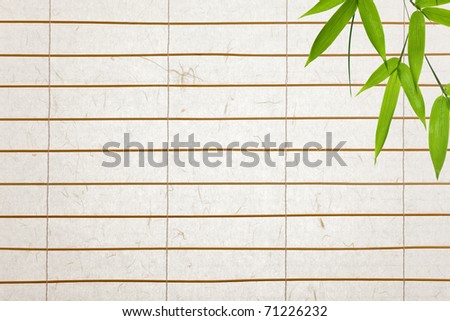 paper blinds