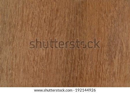 Mahogany. High resolution natural wood texture, no scratches, n