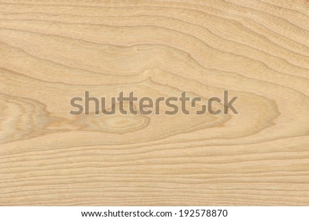 Ash. High resolution natural wood texture, no scratches, no dust