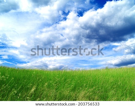 Green filed, blue sky and white clouds.