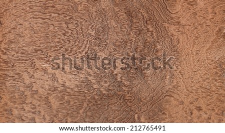 Pommele mahogany. High resolution natural wood texture, no scratches, no dust.
