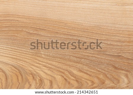 Ash. High resolution natural wood texture, no scratches, no dust.