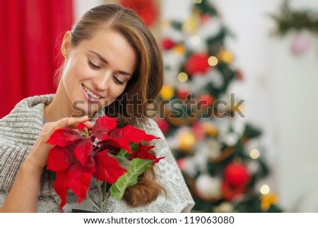 Dreaming woman in front of Christmas tree holding Christmas rose