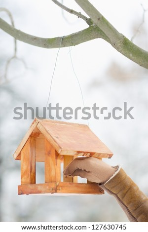 Closeup on hand hanging bird feeder on tree in winter outdoors