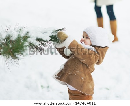 Baby playing with snow on branch