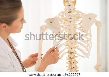 Closeup on medical doctor woman pointing on spine of human skeleton anatomical model