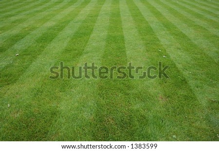 Lawn cut with stripes background