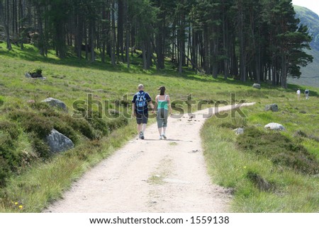 couple holding hands walking in countryside