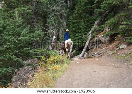 horse riding in Canadian rockies