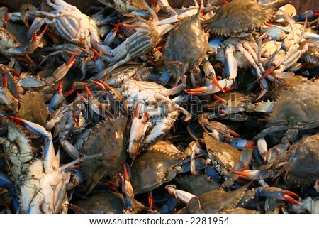fresh crabs at a outside market stall