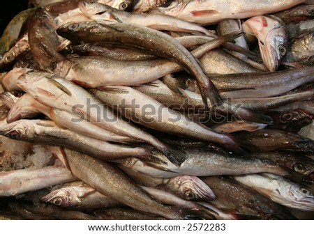 Fresh fish background at market stall