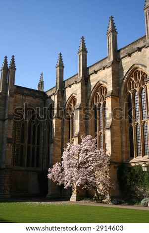 New College Oxford in springtime