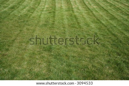 freshly cut lawn of green grass background