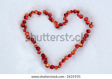A heart drawn with red berries in the snow.