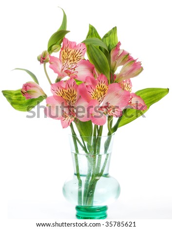 Flowers In A Transparent Vase Isolated On White Background Stock Photo