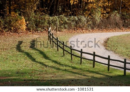 road and fence