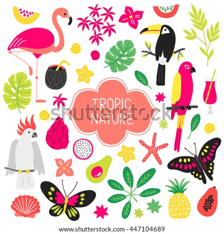Set of tropical elements. Flamingo, butterfly, toucan, macaw, shell, cocktail, 
bamboo, carambola, avocado, dragon fruit, cockatoo, pineapple, starfish. Cartoon design