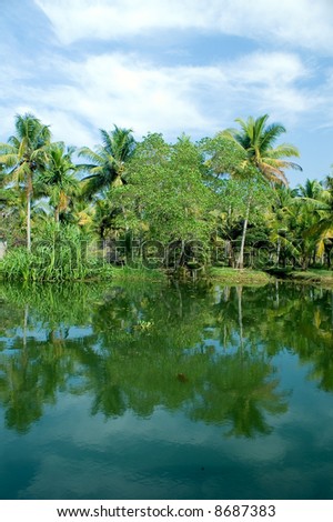 Coco-trees and reflection at backwaters of Kerala, India