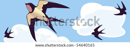 vector illustration of flying birds