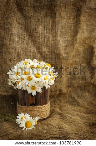 Rustic daisy bouquet in vintage style with background for text