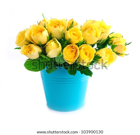 Beautiful bouquet of yellow roses in a blue bucket