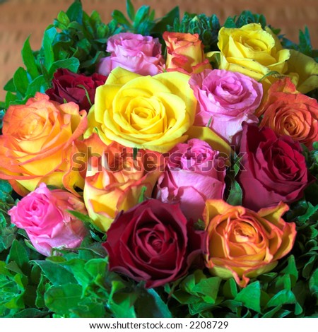 stock photo Red orange pink and yellow roses in a fresh arrangement at