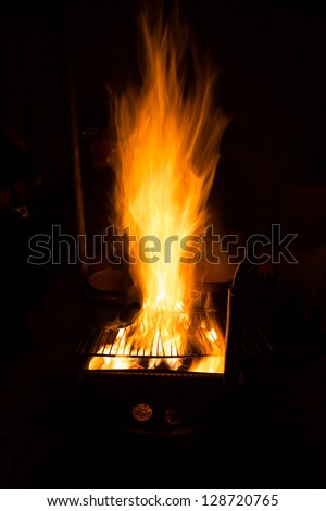 fireplace in wild camping at night