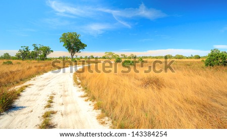 Panorama Landscape of Savannah field in Southern of Thailand near Phuket