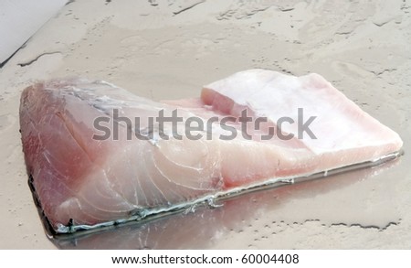  Fish  White  Bass on Fresh Cut Of White Sea Bass Fillet Stock Photo 60004408   Shutterstock