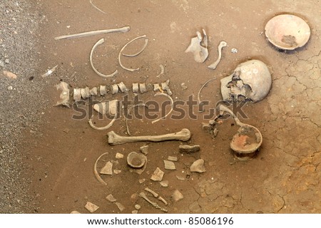 exploration of ancient human skeleton
