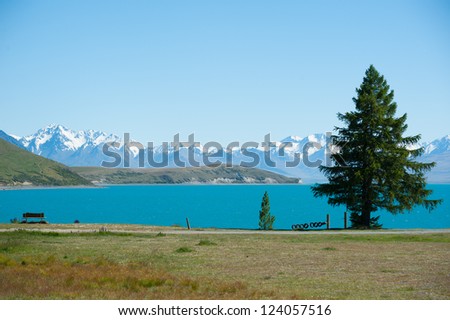 Beautiful landscape of tree, lake and snow mountain at Lake Tekapo in South Island, New Zealand