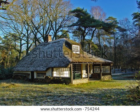Cottage in the wood