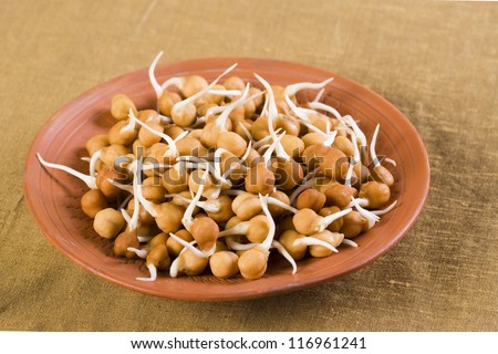 Bengal gram or black chickpeas sprouts