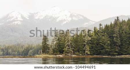 A panoramic view of Alaska with evergreen covered forests and snow covered mountains