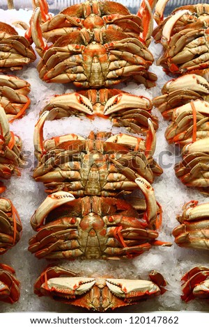 Fresh whole crabs on ice in a seafood market