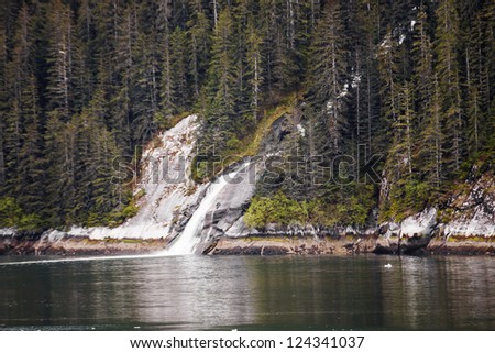 Water flowing through towering evergreens into calm water of Alaska