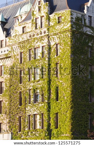 Vines Covering Windows on Classic Old Brick Hotel