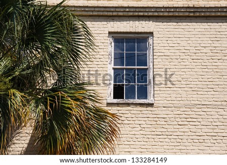 An old brick wall with a broken window pane by a palm tree
