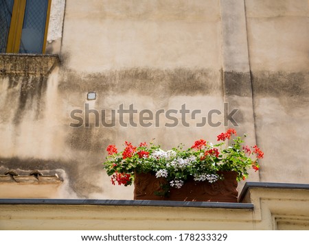 A planter box on an old plaster wall with red and white flowers