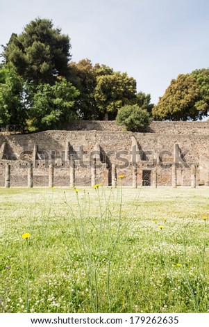 Grass and Dandelion Meadow Ancient Pompeii Walls in Background